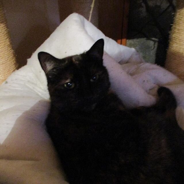 "Cannabis has defiinitely helped with my anxiety, it's also helped with pain where no other prescribed drug has worked. I also gave someone some cannabis butter who suffers with terminal brain cancer and hasn't been out of bed for a couple of years. After taking this, he was up and moving." - Dave, 50, Events organiser in East Midlands.