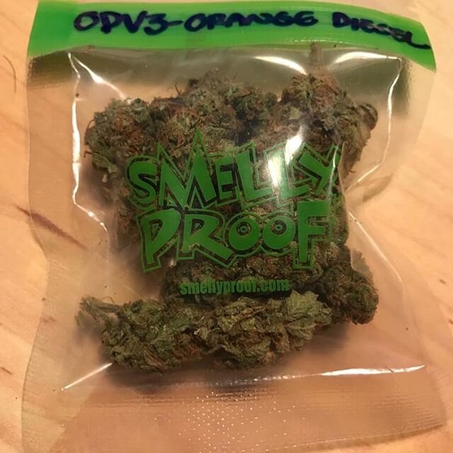 “I smoke weed regularly to help me with my mental health I also enjoy taking party drugs such as Ket, coke, XTC and nos, I feel like the government need to decriminalize these to further research as the government can’t stop teens and young adults from using them” – Charlie, 16, student from South East.