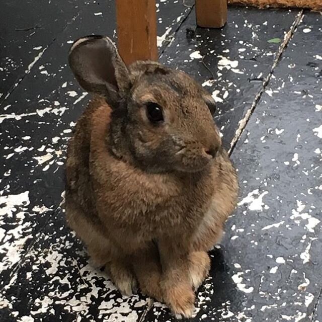 “I think the UK government is doing nothing about the heavy and oblivious drug problems throughout the UK because we see it everywhere, it’s in our homes, in our friends’ lives, it’s on the streets and it’s so obvious but the only thing UK police care about is speeding/cars. It’s literally killing us. You go to a festival and you can only pick out a handful of people not on it. Ecstasy is as easy to get as candy, weed is easier to buy than cigarettes, coke is everywhere, drugs are everywhere. Truth is at some point nobody wants to do it anymore but they still do. Truth is no one is doing anything about it, not bouncers, not family, everyone just kind of leaves people that do drugs to themselves.” – Katie, 17, Hospitality, North West.