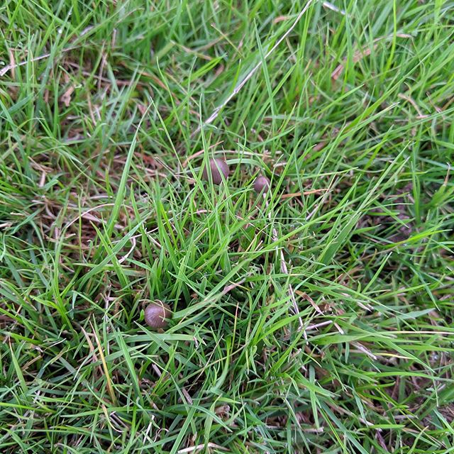 “The UK has a ridiculous drug policy, policing something they cannot stop. People order drugs to their door these days and they can't stop people doing that as they don't have the funding. Treating a drug addict as a criminal doesn't make any sense to me as no one wants to be hooked on heroin and their life depending and revolving around their next dose. Surely this is a mental health issue and people need support.” Levi, 20, university student in Wales.